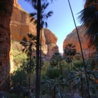 Mini Palms Gorge