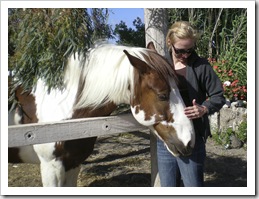 Andrea (the bride) and one of the horses