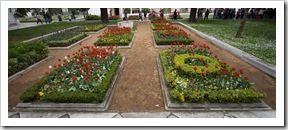 More tulips in Topkapi Palace...