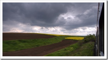 Canola fields in northern Turkey from the train