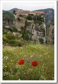 Wild poppies in front of Moni Varlaam 