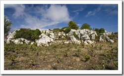 Mountain vineyards hiking between Moni Pantokratora and Strinilas