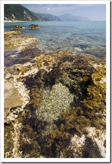 Tide pools at the northern end of Glyfada Beach