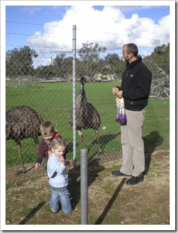 Sam, Max and Eleanor feeding the emus in Minlaton