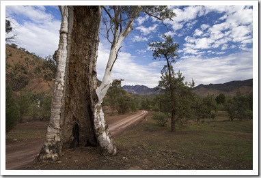 The road down into Bunyeroo Gorge