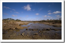 One of the few creeks containing water between William Creek and Oodnadatta