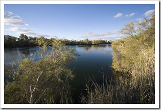 The swimming hole at Dalhousie Springs