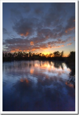 Sunrise at Dalhousie Springs