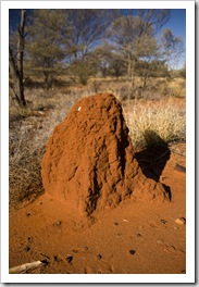 A termite mound along the side of the Stuart Highway