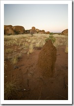 A termite mound at the Devil's Marbles before sunrise