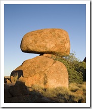 The Devil's Marbles and a native rock fig