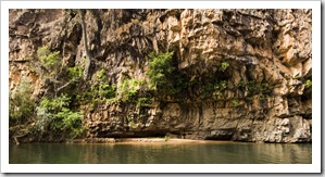 Ferns growing from the rock walls in Katherine Gorge's second gorge