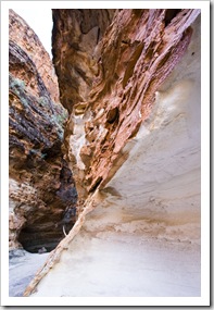 The thin layer of crust over sandstone responsible for the zebra-like domed rock formations