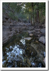 The monsoon forest at Gubara Pools