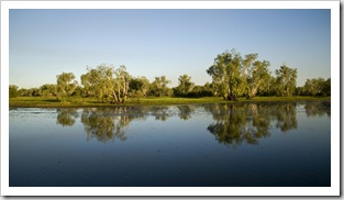 Yellow Waters