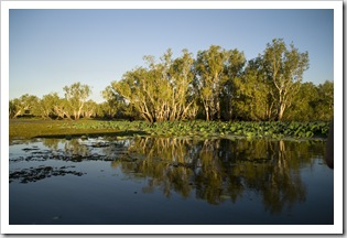 Yellow Waters