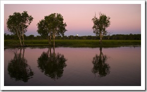 Yellow Waters