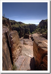 The top of Twin Falls and the gorge in the distance