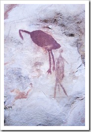 The Aboriginal art along the cliffs of Joe's Creek Walk in Gregory National Park