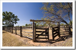 Lisa in the Bullita Homestead cattle yards