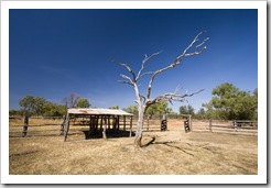 The Bullita Homestead cattle yards