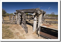 The Bullita Homestead cattle yards