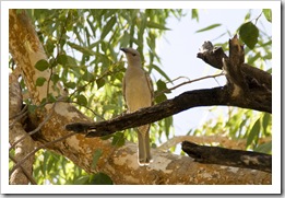 Gregory National Park