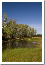 Cockatoo Lagoon