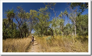 The Jarnem loop walk in Keep River National Park