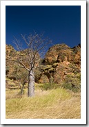 The Jarnem loop walk in Keep River National Park