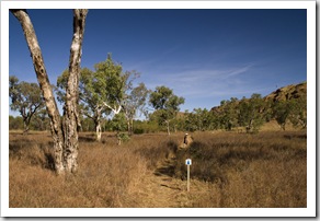 The Jarnem loop walk in Keep River National Park