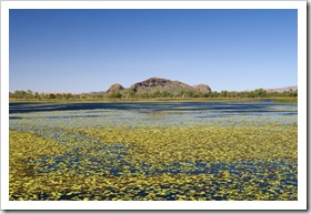 Lake Kununurra