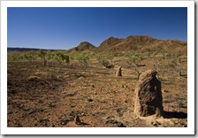 Termite mounds and the Osmand Range
