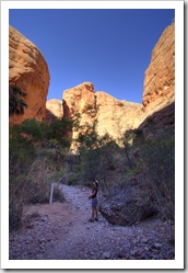 Lisa hiking in to Mini Palms Gorge