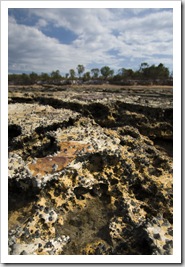 Tide pools at Mandorah