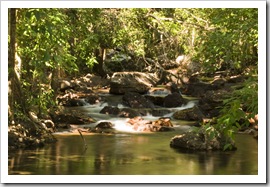 Florence Creek below Florence Falls