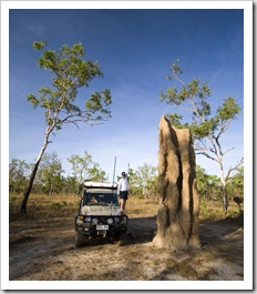 The biggest termite mound we saw in Litchfield National Park