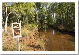 The ominous creek crossing on the road into Tjaynera Falls