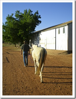 Greg walking his horse to the barn to saddle up
