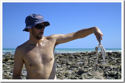 Sam holding dinner (an octopus) at Quondong Point