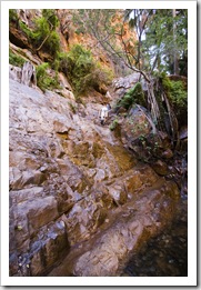 Sam clambering up a waterfall in EL Questro Gorge