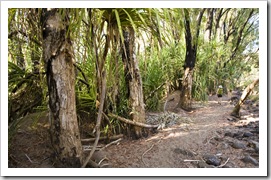 Lisa hiking to Champagne Springs