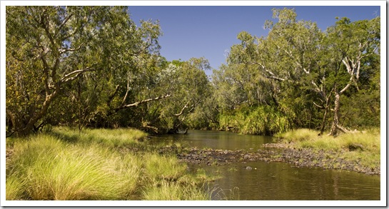 The Carson River crossing