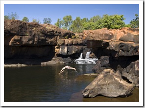 Sam diving into the swimming hole next to our campsite at King Edward River