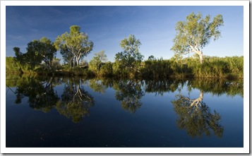 Afternoon sun on the King Edward River