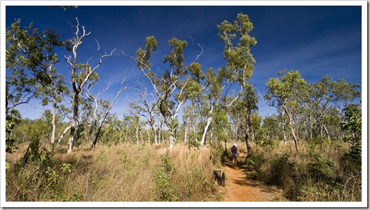 Lisa hiking to Mitchell Falls