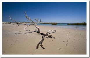 The beach at Chile Creek