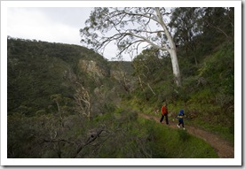 Lisa and Grace hiking in Morialta
