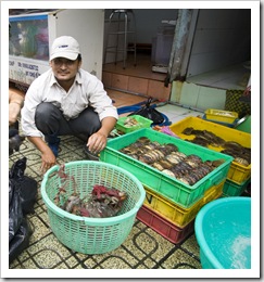 Live crabs (even though they don't look it) in Ben Tanh Market