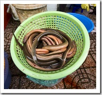 Fresh eels in Ben Tanh Market